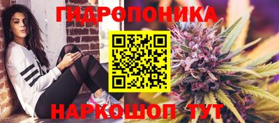 прущие грибы Пушкино